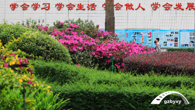 广东体育专业的技校排名_平均月薪1.5w的专业你学不学插图